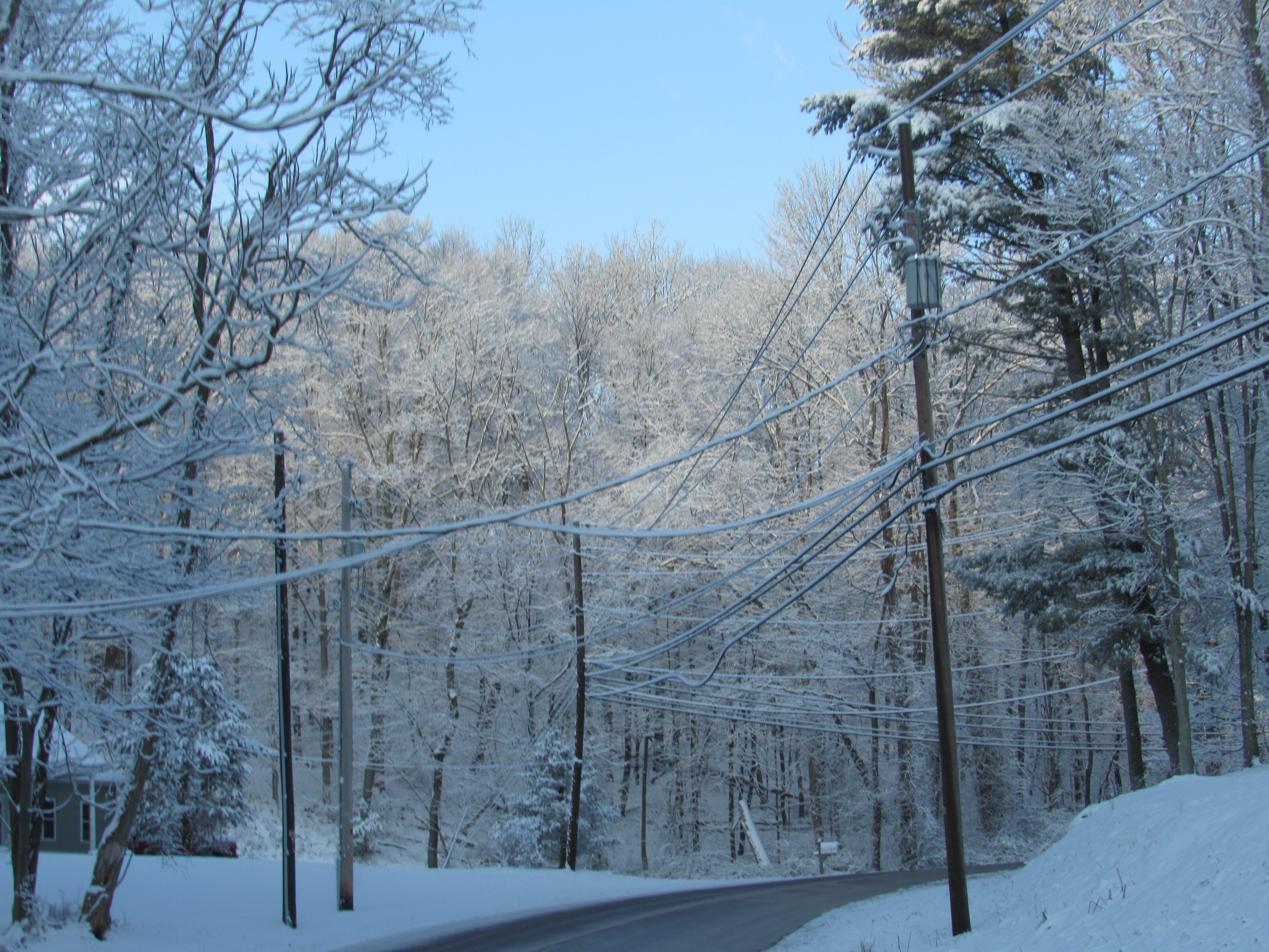 Winter Wonderland at The Williamsport Home - The Williamsport Home