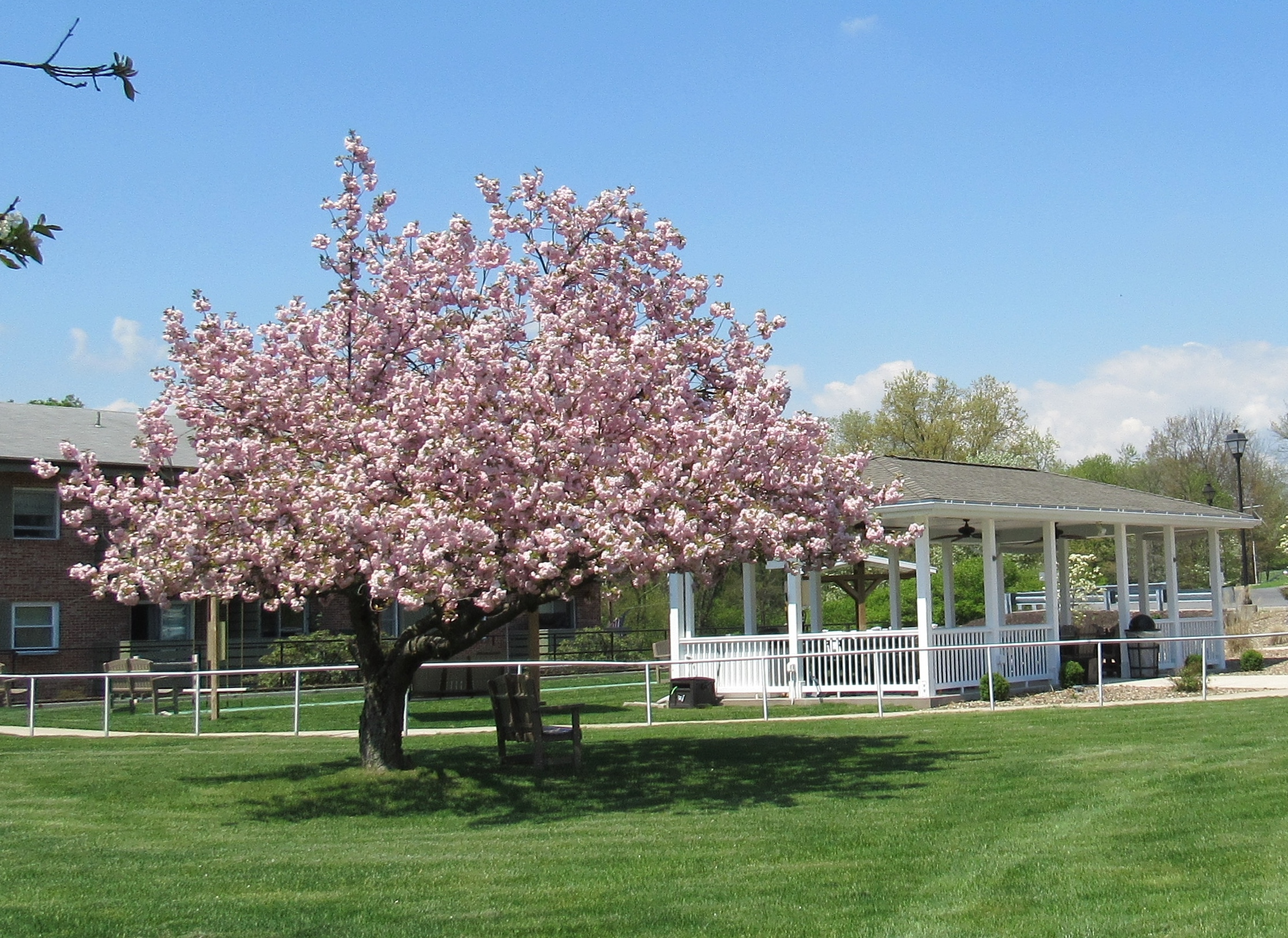 pavilion